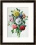 Dahlia by Marie-Anne Limited Edition Pricing Art Print