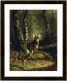 Buck And Doe In The Adirondacks by Arthur Fitzwilliam Tait Limited Edition Print