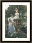 In The Garden by Wilhelm Menzler Limited Edition Print