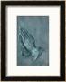 Praying Hands, 1508, Point Of Brush And Black Ink, Heightened With White, On Blue Prepared Paper by Albrecht Dã¼rer Limited Edition Print