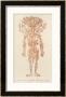 The Arteries Of The Human Body by Ebenezer Sibly Limited Edition Print