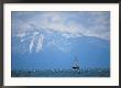 Lake Tahoe, Ca, Scenic Of Mountains And Boat by Peter Adams Limited Edition Print