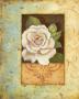 Antique Rose I by Jillian Jeffrey Limited Edition Pricing Art Print