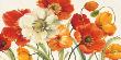 Poppies Melody I by Lisa Audit Limited Edition Print