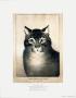 The Favorite Cat by Nathaniel Currier Limited Edition Pricing Art Print