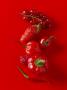 Red Berries And Vegetables by Bernhard Winkelmann Limited Edition Pricing Art Print