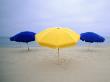 Yellow And Blue Umbrellas On Beach, Nantucket, Ma by Kindra Clineff Limited Edition Print