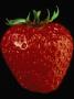 Close-Up Of A Strawberry by Fogstock Llc Limited Edition Pricing Art Print