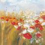 Poppies And Larkspur I by Carol Rowan Limited Edition Print