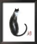 Chinese Cat Ii by Cheng Yan Limited Edition Pricing Art Print