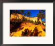 Cliffs And Pine Trees, Sentier Des Ocres, Roussillon, Provence-Alpes-Cote D'azur, France by Dan Herrick Limited Edition Print