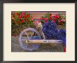 Old Wooden Cart With Fresh-Cut Lavender, Sault, Provence, France by Jim Zuckerman Limited Edition Print