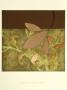 Garden Tableau Ii by Erica J. Vess Limited Edition Print