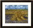 Wheatfield With Sheaves, C.1888 by Vincent Van Gogh Limited Edition Print