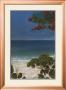 Caribbean Escape Ii by Cheryl Kessler-Romano Limited Edition Pricing Art Print