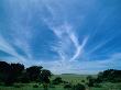 A Blue Sky Streaked With Mares-Tail Clouds Contrasts With The Lush Green Landscape by Beverly Joubert Limited Edition Pricing Art Print