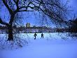 Cross-Country Skiers Crossing Great Lawn In Central Park, New York City, Usa by Corey Wise Limited Edition Print