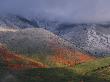 Red Maples And Fall Snowstorm Near Midway, Utah, Usa by Howie Garber Limited Edition Print