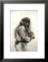 Joe Jackson by Allen Friedlander Limited Edition Pricing Art Print