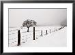 Snowy Landscape by Ilona Wellman Limited Edition Print