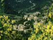 Brantes, France by Alain Christof Limited Edition Print