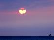 Dhow At Sunset In The Indian Ocean, Zanzibar by Ariadne Van Zandbergen Limited Edition Print