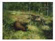 Bear Brakar, 1898 (Oil On Canvas) by Theodor Severin Kittelsen Limited Edition Pricing Art Print