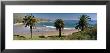 Palm Trees At Refugio State Beach, California, Usa by Panoramic Images Limited Edition Pricing Art Print