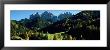 Trees On A Landscape, Dolomites, Funes Valley, Le Odle, Santa Maddalena, Tyrol, Italy by Panoramic Images Limited Edition Print