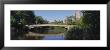 Bridge Across A Lake, Central Park, New York, Usa by Panoramic Images Limited Edition Pricing Art Print