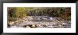 River Flowing Through The Wilderness, White Mountains National Forest, New Hampshire, Usa by Panoramic Images Limited Edition Pricing Art Print