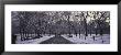 Bare Trees In A Park, Central Park, New York, Usa by Panoramic Images Limited Edition Print