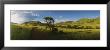 Dirt Road Running Through A Landscape, South Africa by Panoramic Images Limited Edition Pricing Art Print