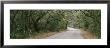 Trees Both Sides Of A Road, Fort Clinch State Park, Amelia Island, Florida, Usa by Panoramic Images Limited Edition Pricing Art Print