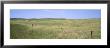 Grass On A Field, Cherry County, Nebraska, Usa by Panoramic Images Limited Edition Print