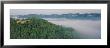 Trees On Hills, Double Arch, Daniel Boone National Forest, Kentucky, Usa by Panoramic Images Limited Edition Print