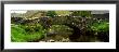 Stone Bridge Over A Canal, Watendlath Bridge, Lake District, Cumbria, England, United Kingdom by Panoramic Images Limited Edition Print