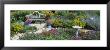 Park Bench In The Garden by Panoramic Images Limited Edition Pricing Art Print