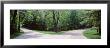 Fork In A Road Surrounded By Trees, Park Road, Letchworth State Park, New York State, Usa by Panoramic Images Limited Edition Pricing Art Print