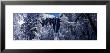Bridal Veil Falls In Winter, California, Usa by Panoramic Images Limited Edition Pricing Art Print