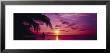 Sunset, Palm Trees, Beach, Water, Ocean, Montego Bay Jamaica by Panoramic Images Limited Edition Pricing Art Print