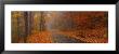 Autumn Road, Monadnock Mountain, New Hampshire, Usa by Panoramic Images Limited Edition Print