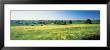 Field Near Barnstaple, North Devon, England, United Kingdom by Panoramic Images Limited Edition Print