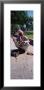 Snake Charmer Performing, India by Panoramic Images Limited Edition Print