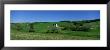 Summer Fields And Houses, Prince Edward Island, Canada by Panoramic Images Limited Edition Pricing Art Print