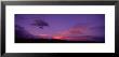 Sunset, Pojaque, New Mexico, Usa by Panoramic Images Limited Edition Pricing Art Print