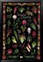 California Salad-Black by Larry Kunkel Limited Edition Print