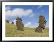Moai Quarry, Rano Raraku Volcano, Unesco World Heritage Site, Easter Island (Rapa Nui), Chile by Michael Snell Limited Edition Print