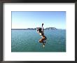 Woman Jumping Off Tolaga Bay Wharf, New Zealand by Oliver Strewe Limited Edition Print