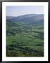 Fields In The Valleys, Near Brecon, Powys, Wales, United Kingdom by Roy Rainford Limited Edition Print